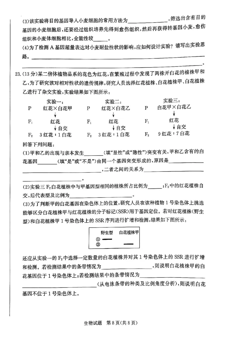 2025届河北省邯郸市高三上学期第一次调研检测生物试卷_2024-2025高三（6-6月题库）_2024年09月试卷_09232025届河北省邯郸市高三上学期第一次调研检测试卷