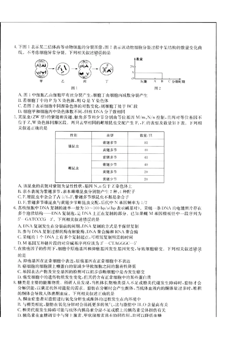 江西省重点中学盟校2024届高三第二次联考生物_2024年5月_01按日期_6号_2024届江西省重点中学盟校高三下学期二模_2024届江西省重点中学盟校高三下学期第二次联考生物试题