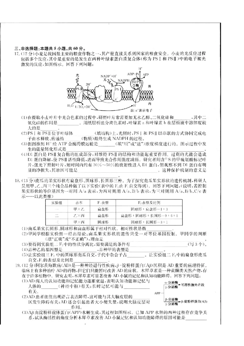 江西省重点中学盟校2024届高三第二次联考生物_2024年5月_01按日期_6号_2024届江西省重点中学盟校高三下学期二模_2024届江西省重点中学盟校高三下学期第二次联考生物试题