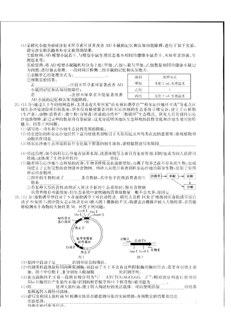 江西省重点中学盟校2024届高三第二次联考生物_2024年5月_01按日期_6号_2024届江西省重点中学盟校高三下学期二模_2024届江西省重点中学盟校高三下学期第二次联考生物试题