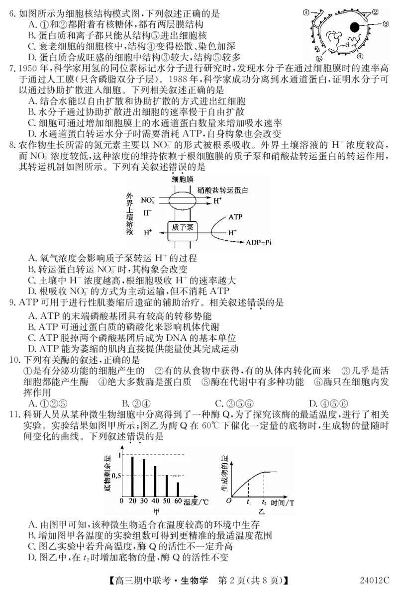 24012C高三试卷-生物(1)_2023年11月_0211月合集_2024届黑龙江省龙东五地市高三上学期期中联考_黑龙江省龙东五地市2024届高三上学期期中联考生物