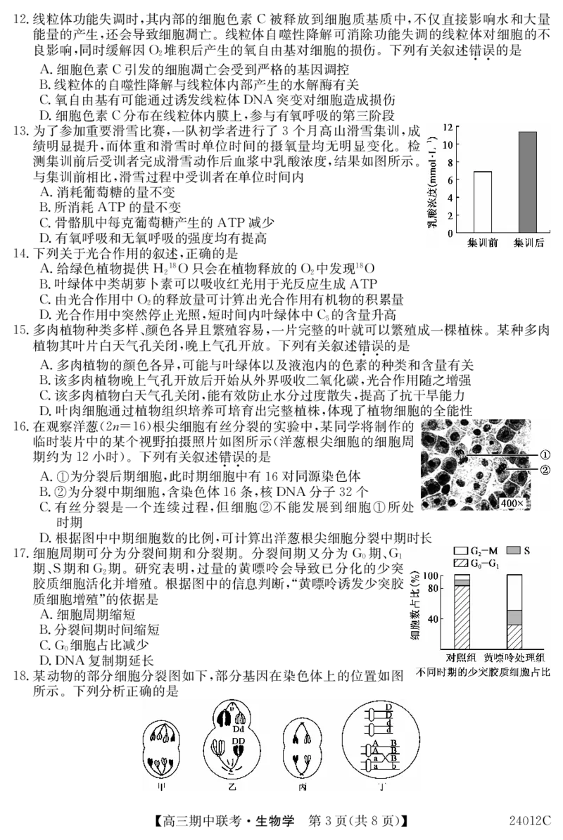 24012C高三试卷-生物(1)_2023年11月_0211月合集_2024届黑龙江省龙东五地市高三上学期期中联考_黑龙江省龙东五地市2024届高三上学期期中联考生物