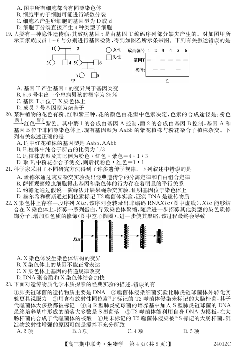 24012C高三试卷-生物(1)_2023年11月_0211月合集_2024届黑龙江省龙东五地市高三上学期期中联考_黑龙江省龙东五地市2024届高三上学期期中联考生物