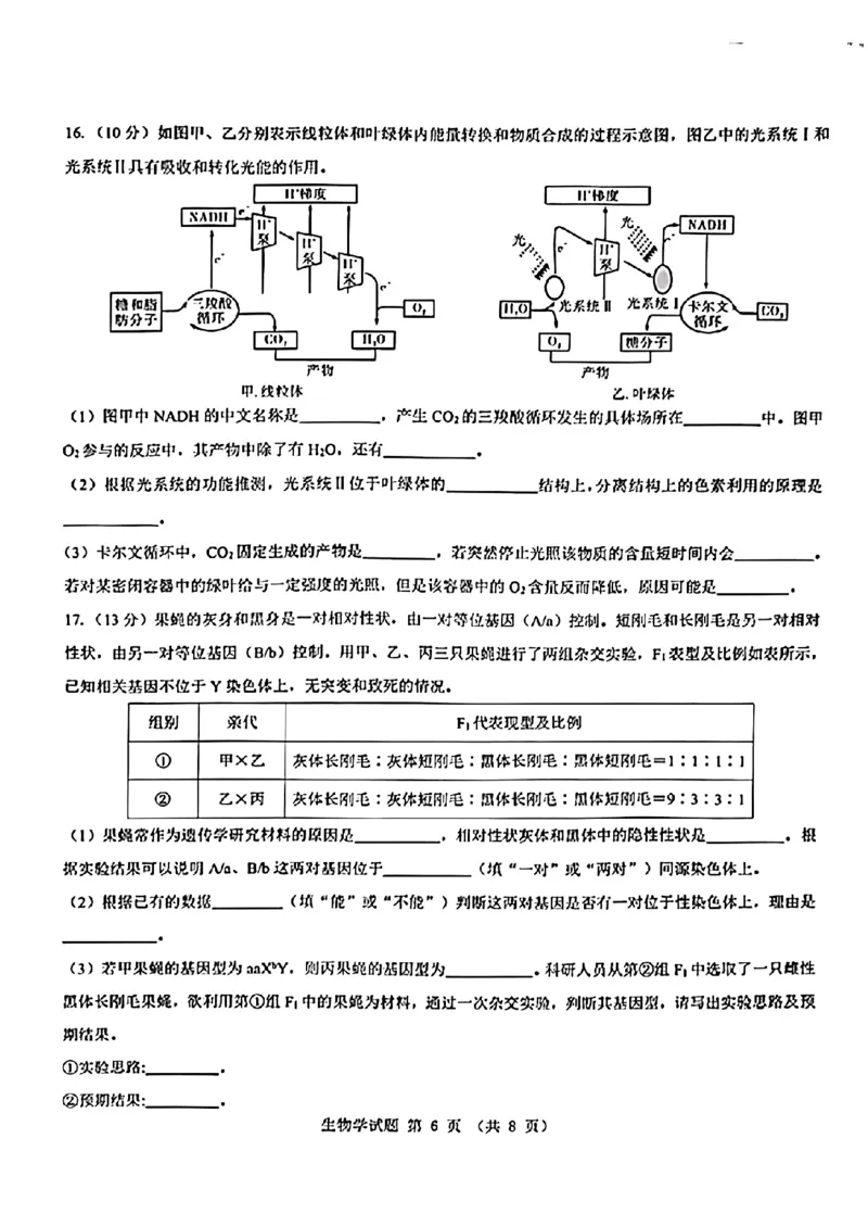 2025届山西省三重教育高三开学摸底联考生物试题_2024-2025高三（6-6月题库）_2024年08月试卷_0829山西省三重教育2025届高三上学期开学考试