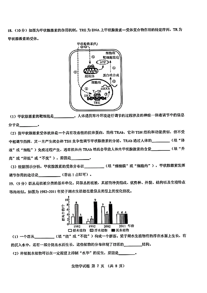 2025届山西省三重教育高三开学摸底联考生物试题_2024-2025高三（6-6月题库）_2024年08月试卷_0829山西省三重教育2025届高三上学期开学考试