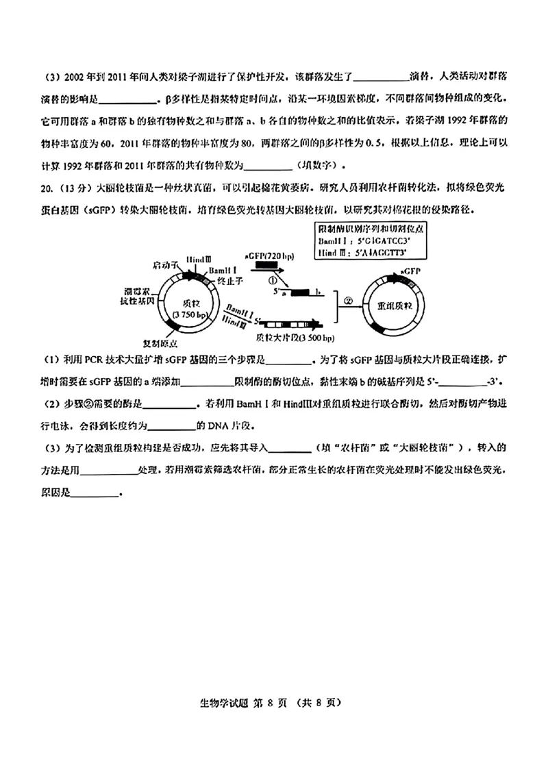 2025届山西省三重教育高三开学摸底联考生物试题_2024-2025高三（6-6月题库）_2024年08月试卷_0829山西省三重教育2025届高三上学期开学考试