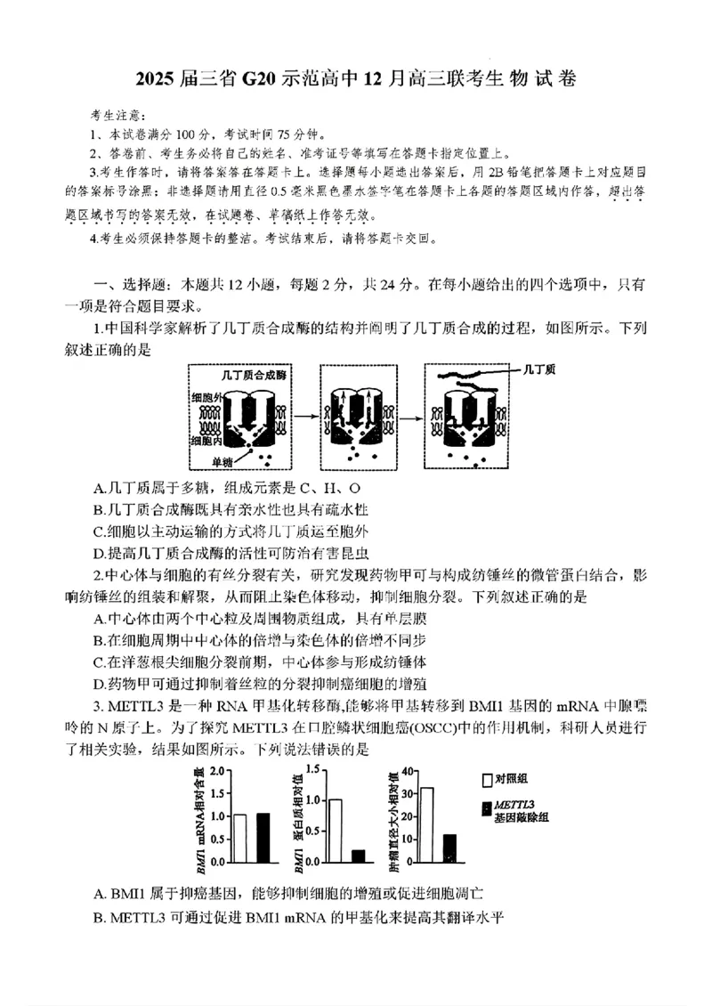 2025届三省G20示范高中12月高三联考生物_2024-2025高三（6-6月题库）_2024年12月试卷_1222豫皖赣三省G20示范高中2024-2025学年高三上学期12月联考（全科）