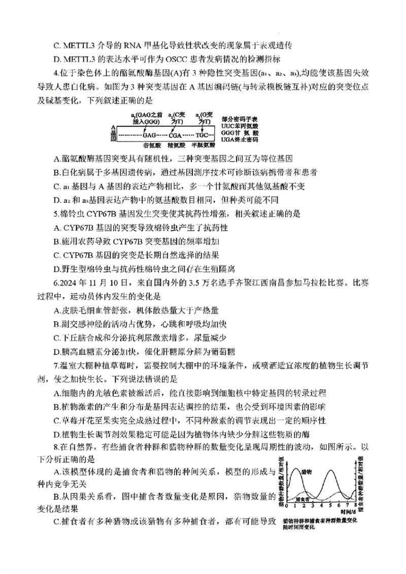 2025届三省G20示范高中12月高三联考生物_2024-2025高三（6-6月题库）_2024年12月试卷_1222豫皖赣三省G20示范高中2024-2025学年高三上学期12月联考（全科）