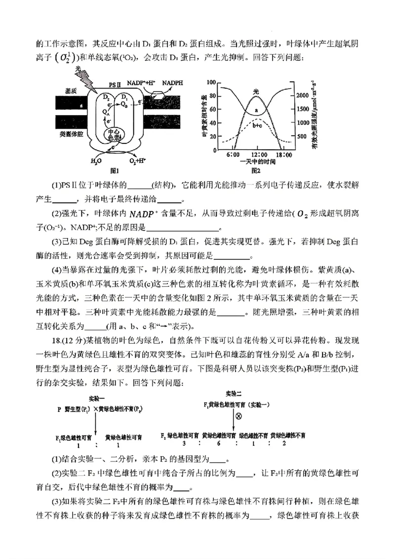 2025届三省G20示范高中12月高三联考生物_2024-2025高三（6-6月题库）_2024年12月试卷_1222豫皖赣三省G20示范高中2024-2025学年高三上学期12月联考（全科）