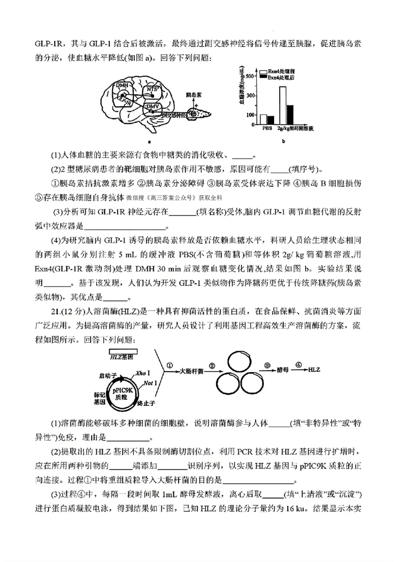 2025届三省G20示范高中12月高三联考生物_2024-2025高三（6-6月题库）_2024年12月试卷_1222豫皖赣三省G20示范高中2024-2025学年高三上学期12月联考（全科）