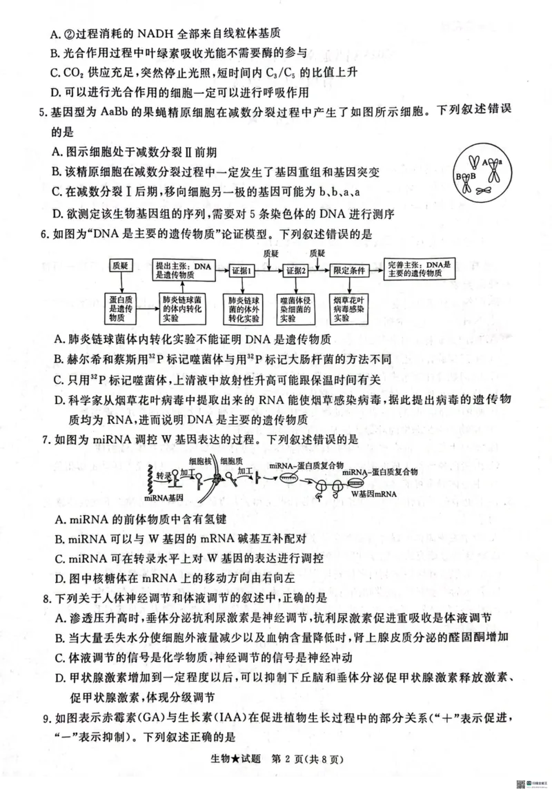 2025河南青桐鸣高三2月联考生物试题_2024-2025高三（6-6月题库）_2025年02月试卷_02152025河南青桐鸣高三2月联考