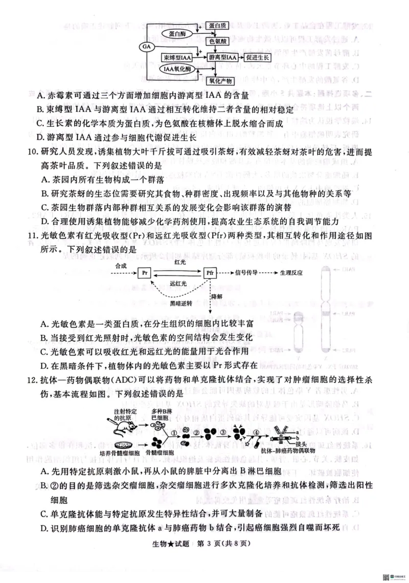 2025河南青桐鸣高三2月联考生物试题_2024-2025高三（6-6月题库）_2025年02月试卷_02152025河南青桐鸣高三2月联考