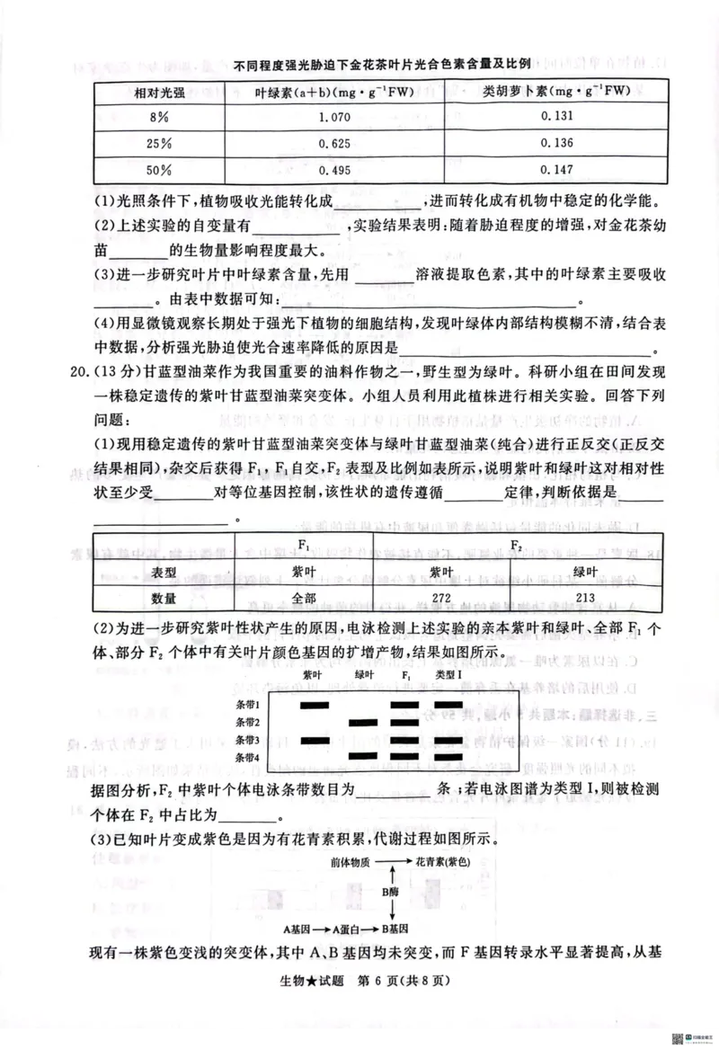 2025河南青桐鸣高三2月联考生物试题_2024-2025高三（6-6月题库）_2025年02月试卷_02152025河南青桐鸣高三2月联考