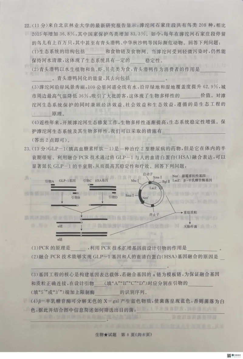 2025河南青桐鸣高三2月联考生物试题_2024-2025高三（6-6月题库）_2025年02月试卷_02152025河南青桐鸣高三2月联考
