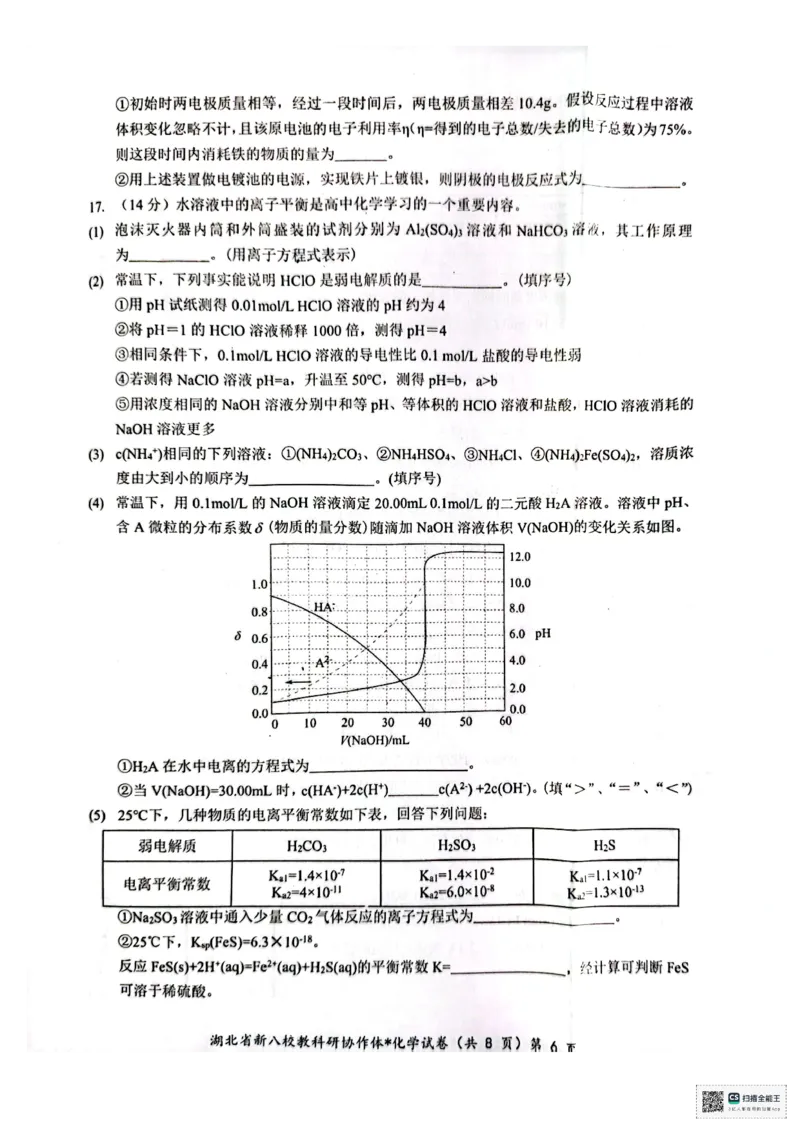 化学试卷(1)_2024-2025高二（7-7月题库）_2024年12月试卷_1219湖北省新八校协作体2024-2025学年高二上学期12月联考试题