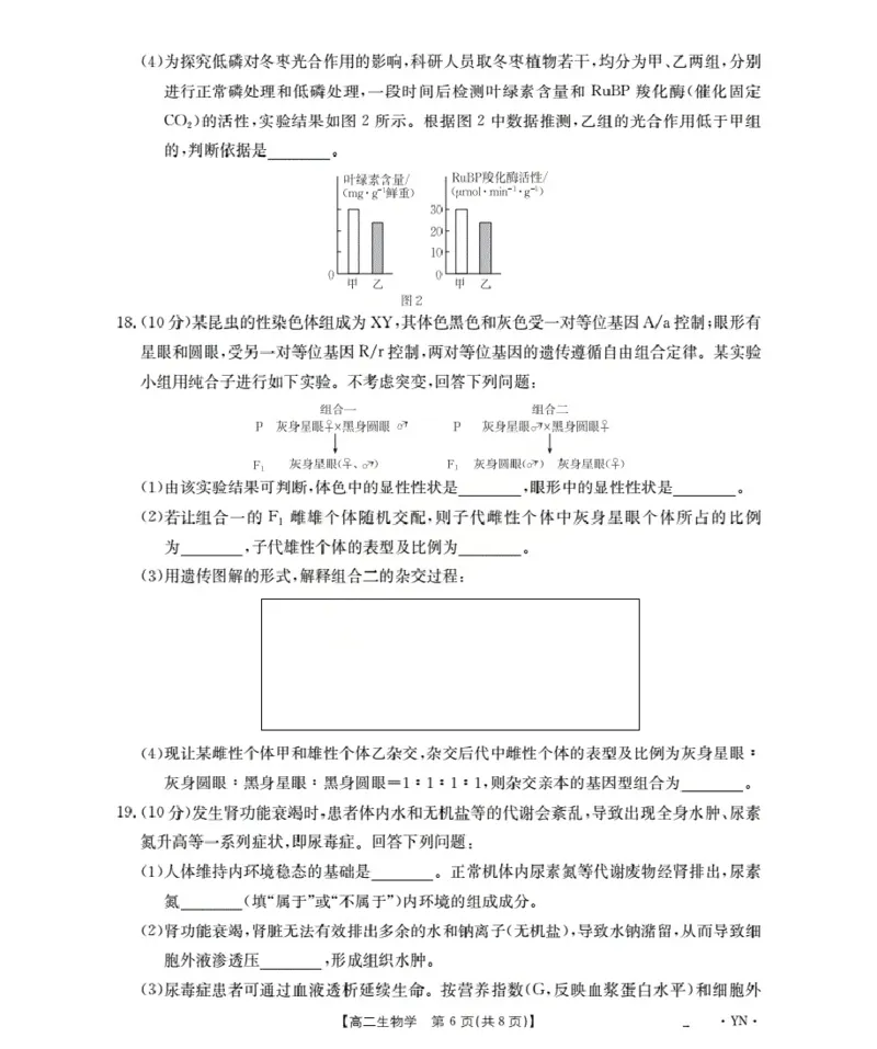 云南省2027届高二上学期12月联考（26-002B）生物_2024-2025高二（7-7月题库）_2026年1月高二_260106金太阳&middot;云南省2027届高二上学期12月联考（26-002B）（全）