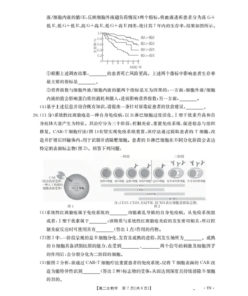 云南省2027届高二上学期12月联考（26-002B）生物_2024-2025高二（7-7月题库）_2026年1月高二_260106金太阳&middot;云南省2027届高二上学期12月联考（26-002B）（全）