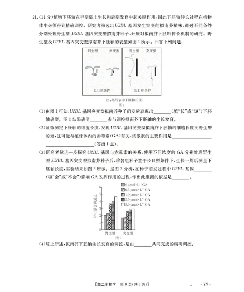 云南省2027届高二上学期12月联考（26-002B）生物_2024-2025高二（7-7月题库）_2026年1月高二_260106金太阳&middot;云南省2027届高二上学期12月联考（26-002B）（全）