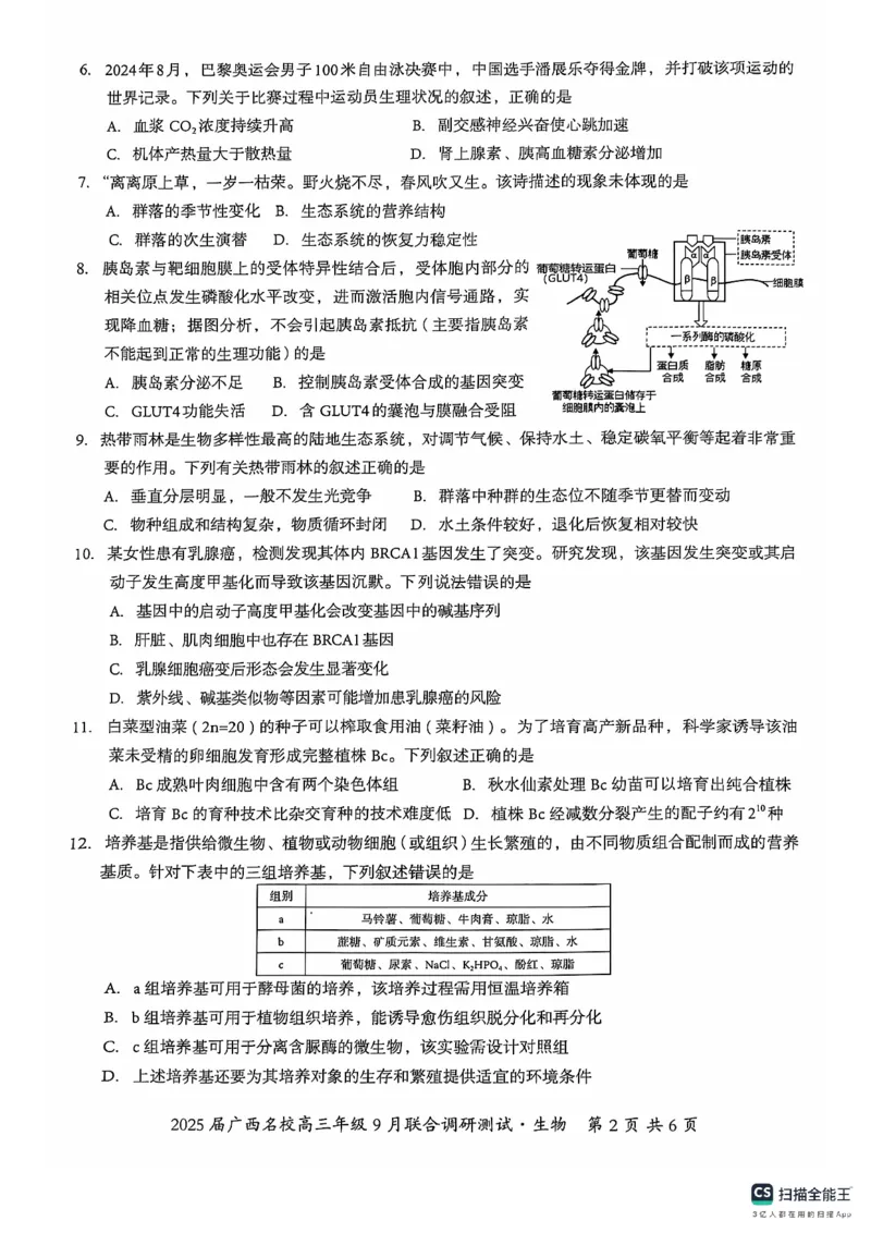 2025届广西名校高三年级9月联合调研测试生物+答案_2024-2025高三（6-6月题库）_2024年09月试卷_09072025届广西名校高三年级9月联合调研测试