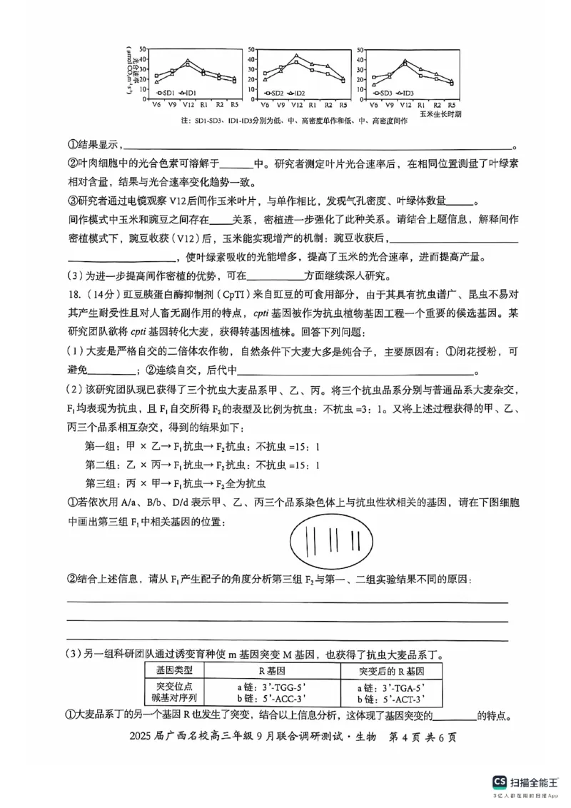 2025届广西名校高三年级9月联合调研测试生物+答案_2024-2025高三（6-6月题库）_2024年09月试卷_09072025届广西名校高三年级9月联合调研测试