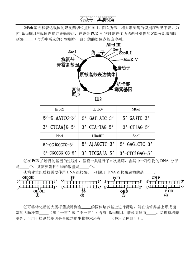 10月月考卷_2024-2025高三（6-6月题库）_2024年10月试卷_1028湖北省荆州市沙市中学2025届高三上学期10月月考_湖北省沙市中学2024-2025学年高三上学期10月月考生物