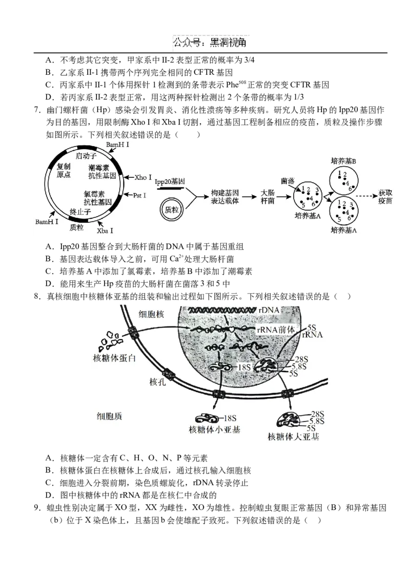 10月月考卷_2024-2025高三（6-6月题库）_2024年10月试卷_1028湖北省荆州市沙市中学2025届高三上学期10月月考_湖北省沙市中学2024-2025学年高三上学期10月月考生物
