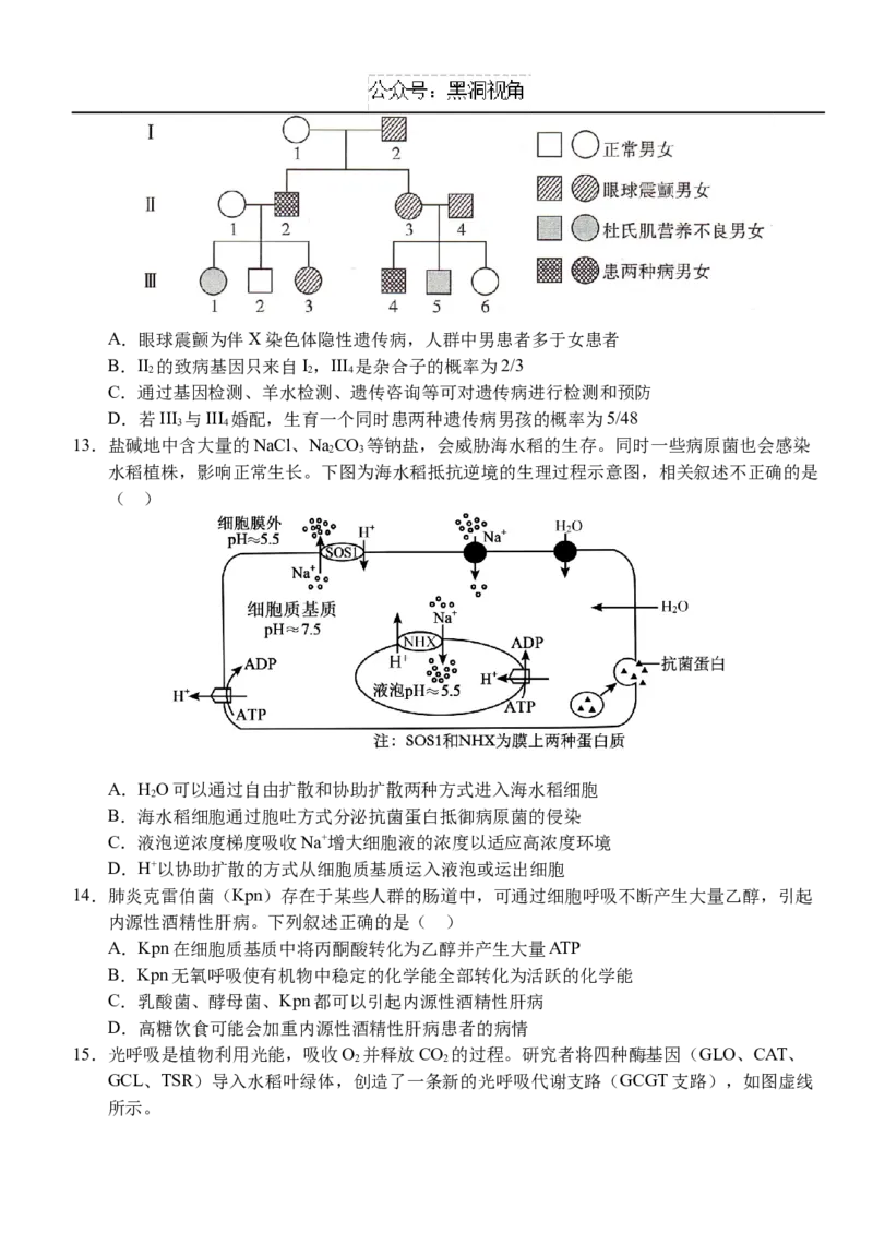 10月月考卷_2024-2025高三（6-6月题库）_2024年10月试卷_1028湖北省荆州市沙市中学2025届高三上学期10月月考_湖北省沙市中学2024-2025学年高三上学期10月月考生物