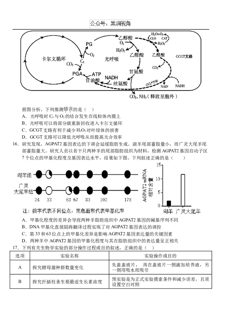 10月月考卷_2024-2025高三（6-6月题库）_2024年10月试卷_1028湖北省荆州市沙市中学2025届高三上学期10月月考_湖北省沙市中学2024-2025学年高三上学期10月月考生物