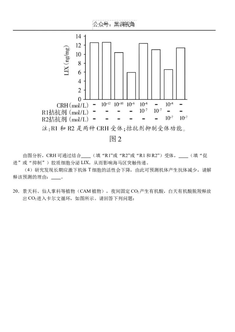 10月月考卷_2024-2025高三（6-6月题库）_2024年10月试卷_1028湖北省荆州市沙市中学2025届高三上学期10月月考_湖北省沙市中学2024-2025学年高三上学期10月月考生物