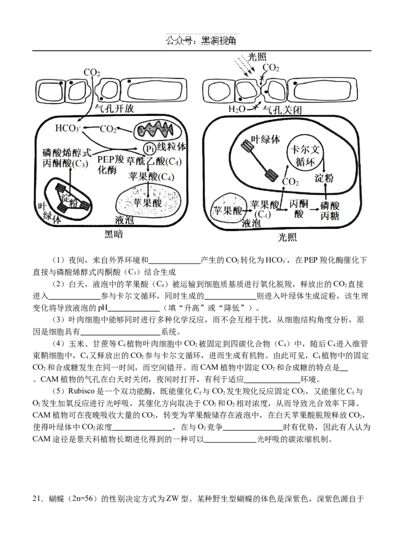 10月月考卷_2024-2025高三（6-6月题库）_2024年10月试卷_1028湖北省荆州市沙市中学2025届高三上学期10月月考_湖北省沙市中学2024-2025学年高三上学期10月月考生物