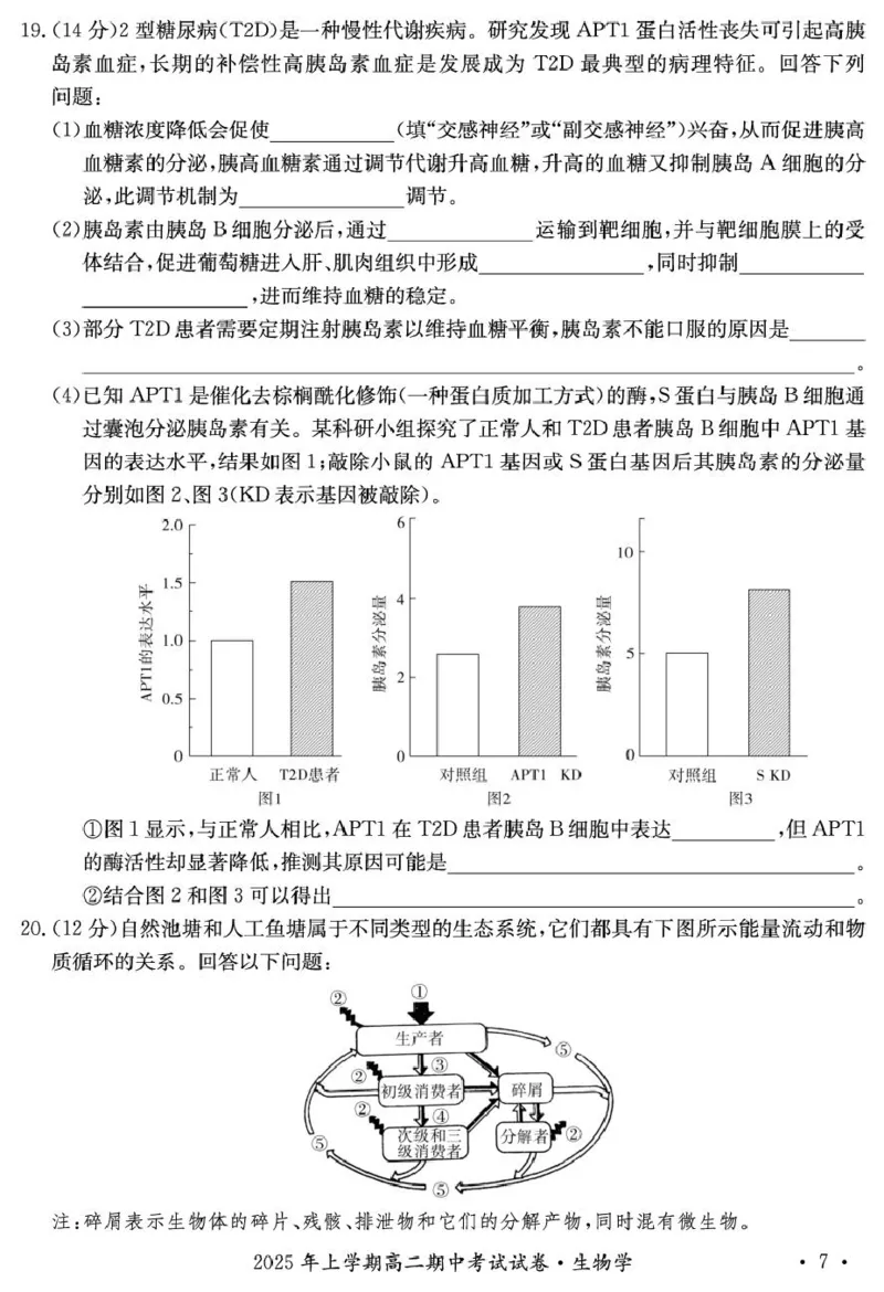 2025年娄底市部分学校高二期中考试生物试题_2024-2025高二（7-7月题库）_2025年05月试卷_0519湖南省娄底市部分学校2024-2025学年高二下学期4月期中联考