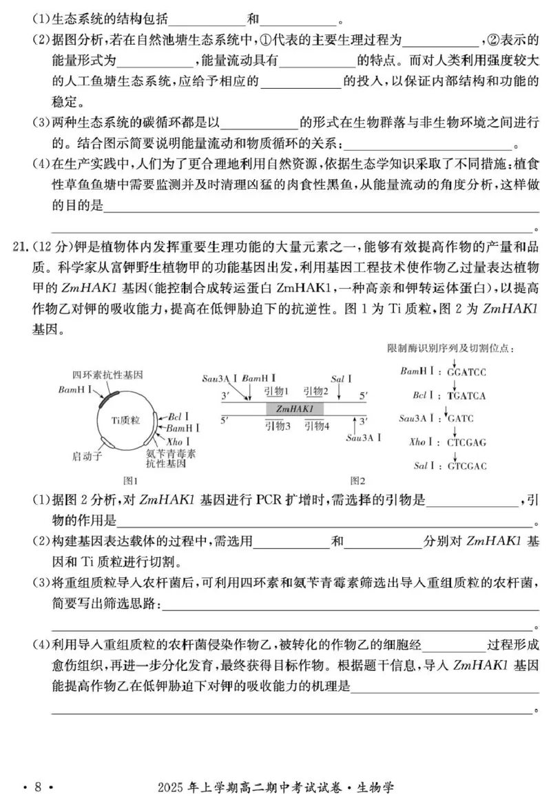 2025年娄底市部分学校高二期中考试生物试题_2024-2025高二（7-7月题库）_2025年05月试卷_0519湖南省娄底市部分学校2024-2025学年高二下学期4月期中联考