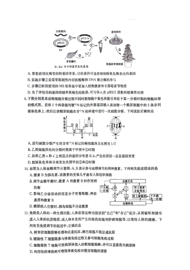 湖南卷湖南省炎德英才名校联考联合体2024年(届)高三下学期5月高考考前仿真联考(三)(5.20-5.21)生物试题_2024年5月_01按日期_23号