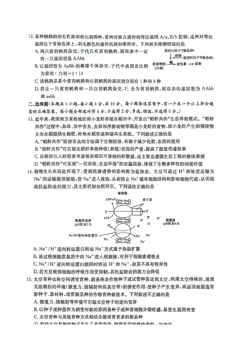湖南卷湖南省炎德英才名校联考联合体2024年(届)高三下学期5月高考考前仿真联考(三)(5.20-5.21)生物试题_2024年5月_01按日期_23号
