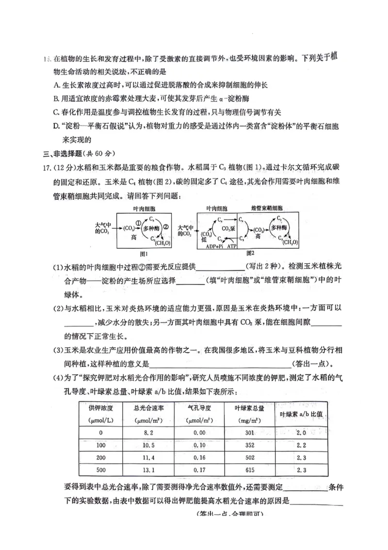 湖南卷湖南省炎德英才名校联考联合体2024年(届)高三下学期5月高考考前仿真联考(三)(5.20-5.21)生物试题_2024年5月_01按日期_23号