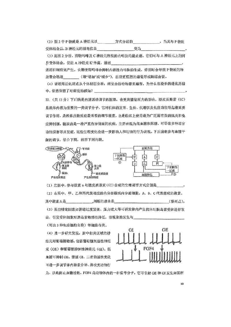 2026届高二上学期六校联考生物试卷_2024-2025高二（7-7月题库）_2024年12月试卷_1212广东省六校联考2024-2025学年高二上学期12月月考试题