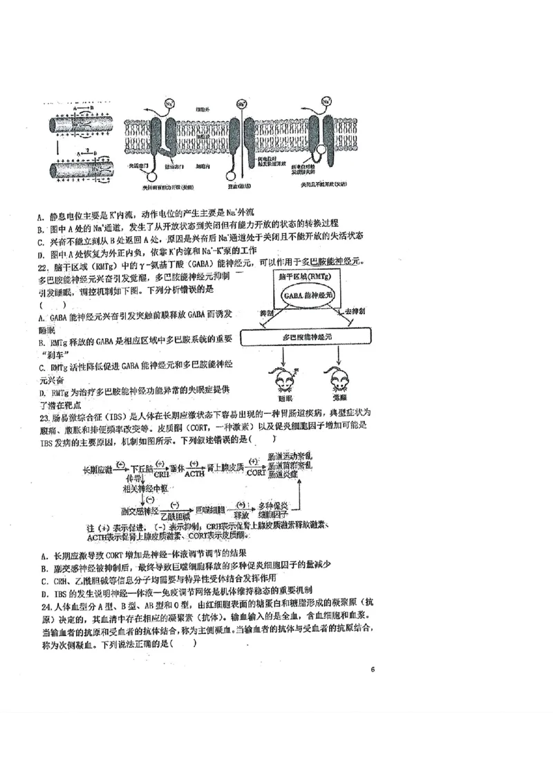 2026届高二上学期六校联考生物试卷_2024-2025高二（7-7月题库）_2024年12月试卷_1212广东省六校联考2024-2025学年高二上学期12月月考试题