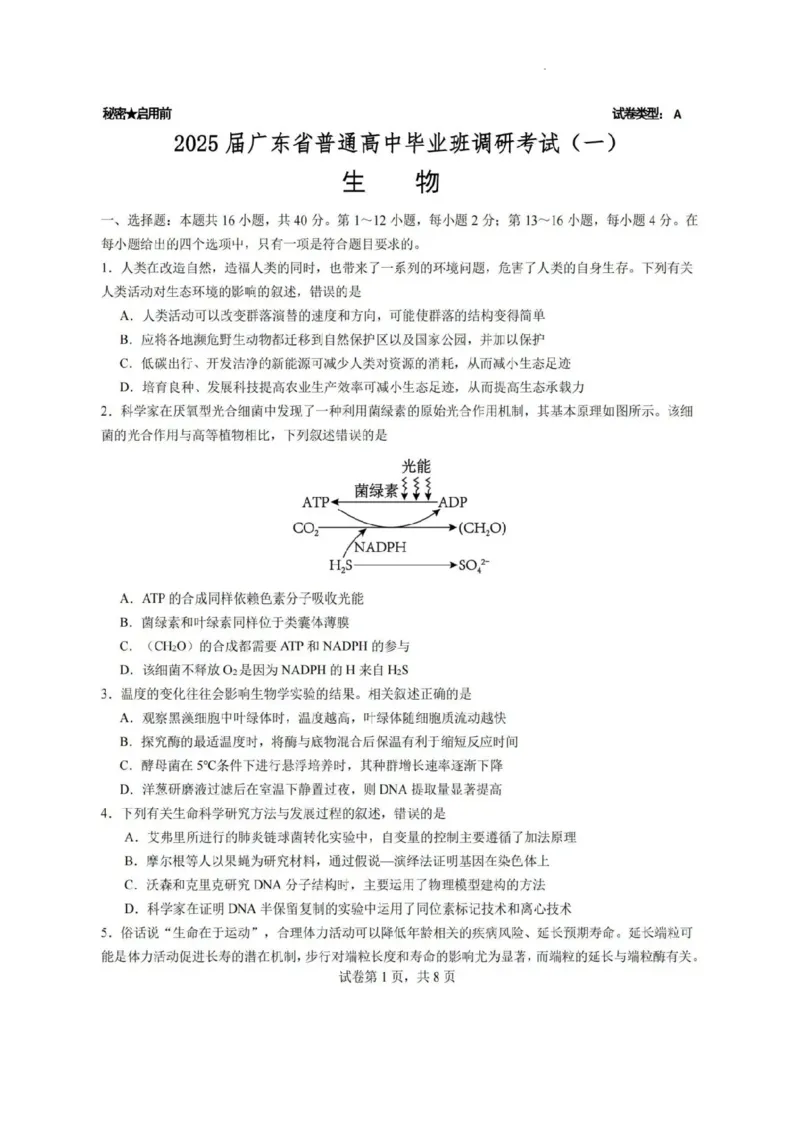 2025届广东省高三上学期第一次调研考试生物试题_2024-2025高三（6-6月题库）_2024年08月试卷_08082025届广东省普通高中毕业班调研考试（一）