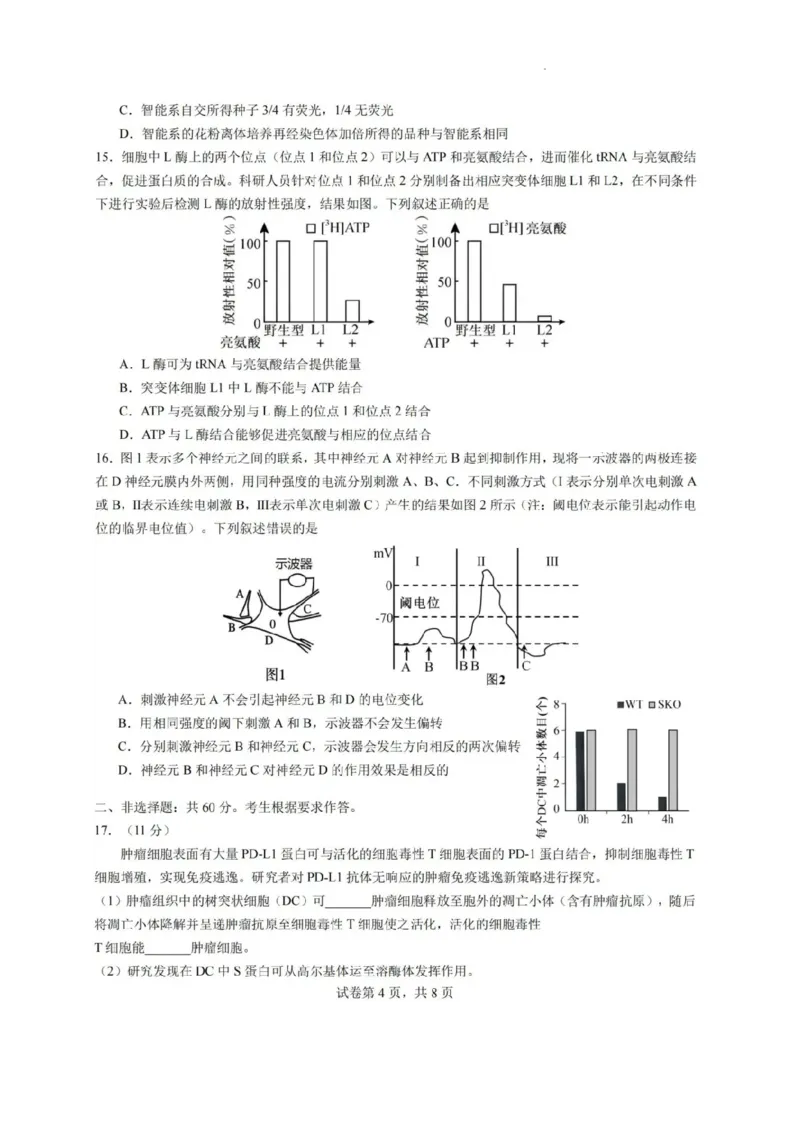2025届广东省高三上学期第一次调研考试生物试题_2024-2025高三（6-6月题库）_2024年08月试卷_08082025届广东省普通高中毕业班调研考试（一）