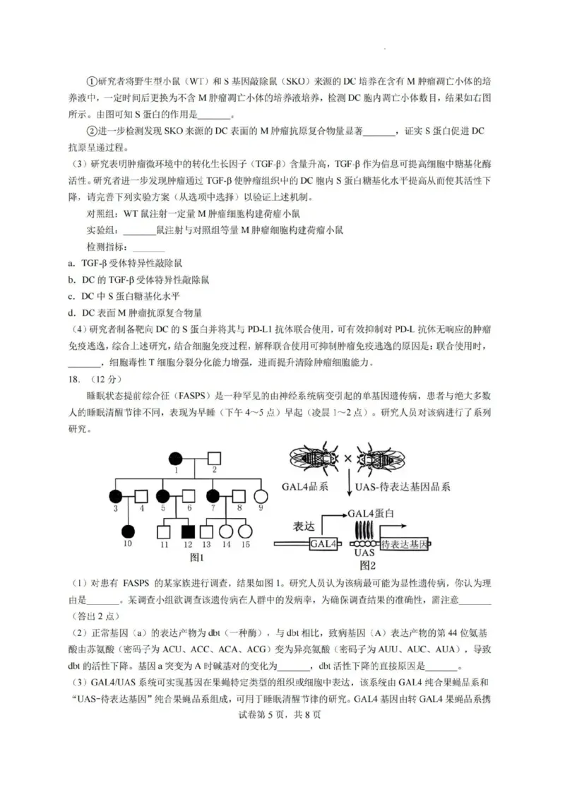 2025届广东省高三上学期第一次调研考试生物试题_2024-2025高三（6-6月题库）_2024年08月试卷_08082025届广东省普通高中毕业班调研考试（一）