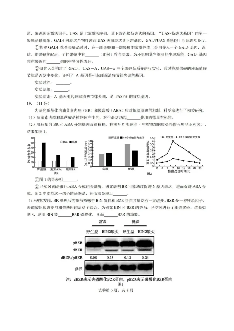 2025届广东省高三上学期第一次调研考试生物试题_2024-2025高三（6-6月题库）_2024年08月试卷_08082025届广东省普通高中毕业班调研考试（一）