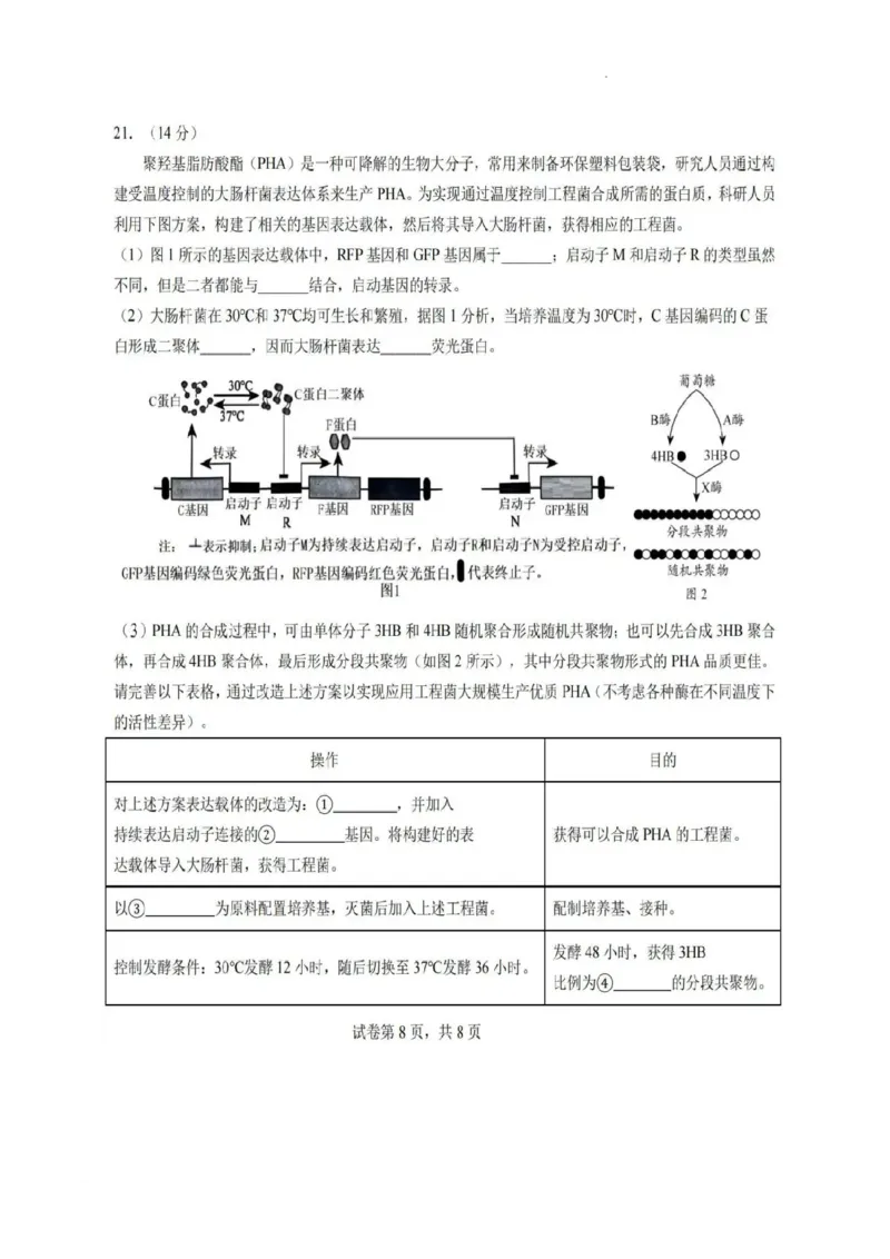 2025届广东省高三上学期第一次调研考试生物试题_2024-2025高三（6-6月题库）_2024年08月试卷_08082025届广东省普通高中毕业班调研考试（一）