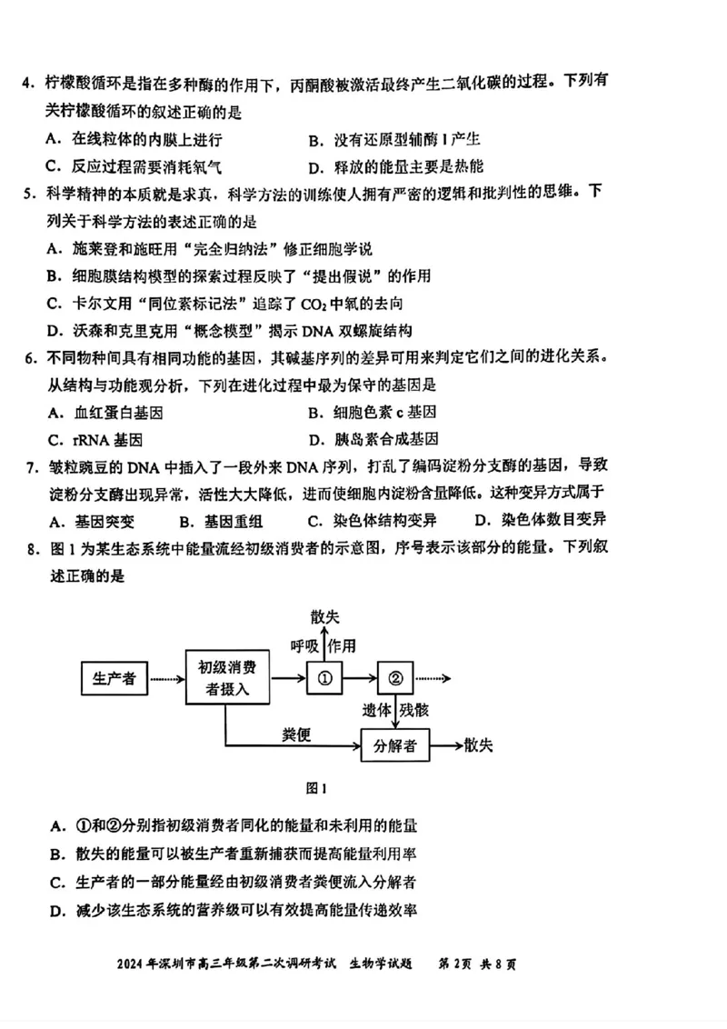 深圳二模生物试卷_2024年4月_01按日期_29号_2024届广东省深圳市高三年级第二次调研考试_2024届广东省深圳市高三年级第二次调研考试生物