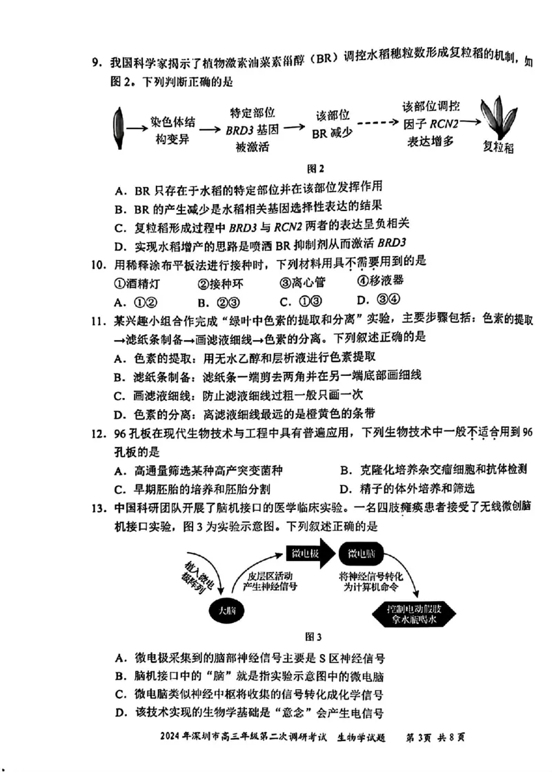深圳二模生物试卷_2024年4月_01按日期_29号_2024届广东省深圳市高三年级第二次调研考试_2024届广东省深圳市高三年级第二次调研考试生物