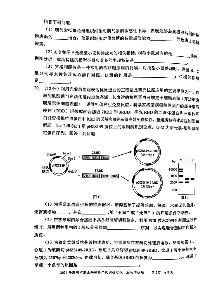 深圳二模生物试卷_2024年4月_01按日期_29号_2024届广东省深圳市高三年级第二次调研考试_2024届广东省深圳市高三年级第二次调研考试生物