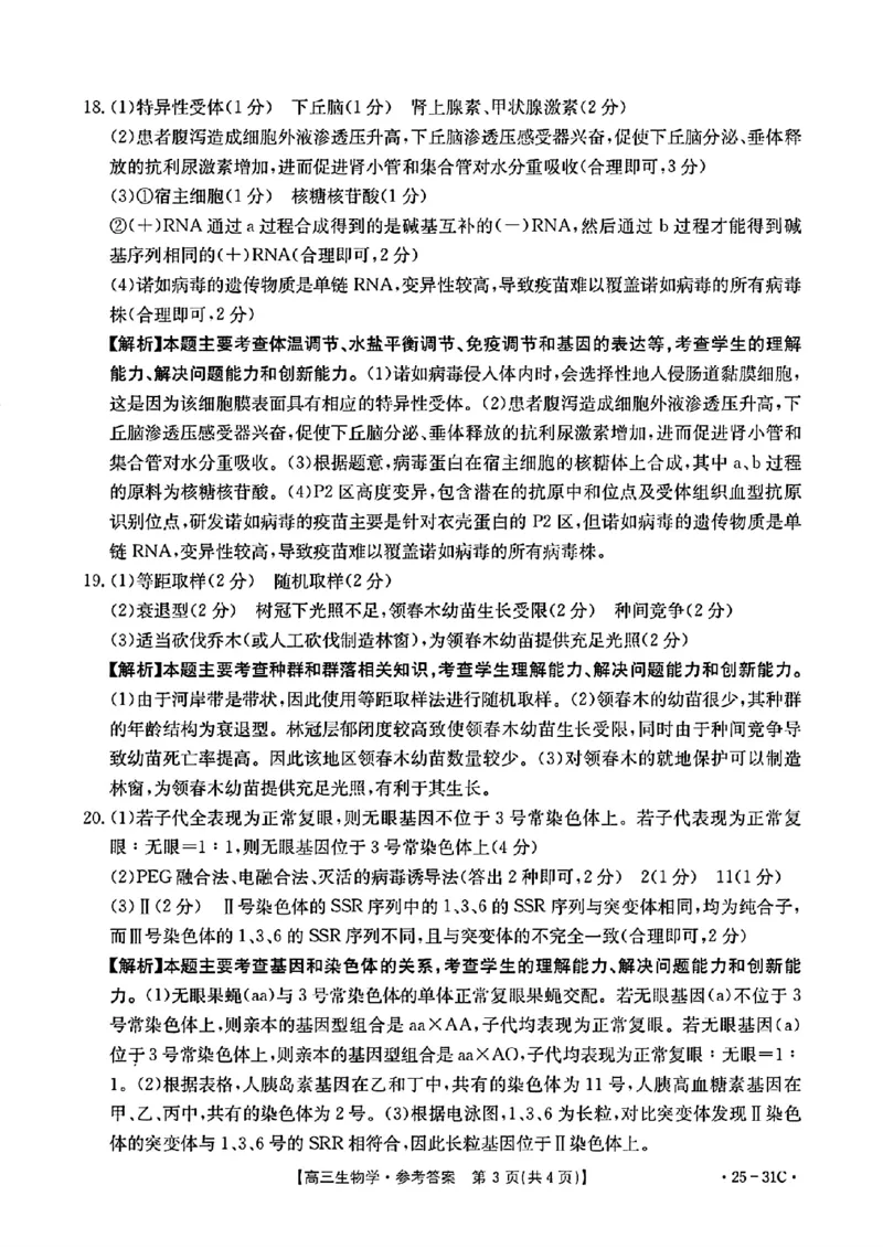2025届广东省金太阳高三上学期9月联考（25-31C）-生物_2024-2025高三（6-6月题库）_2024年10月试卷_10032025届广东省金太阳高三上学期9月联考（25-31C）