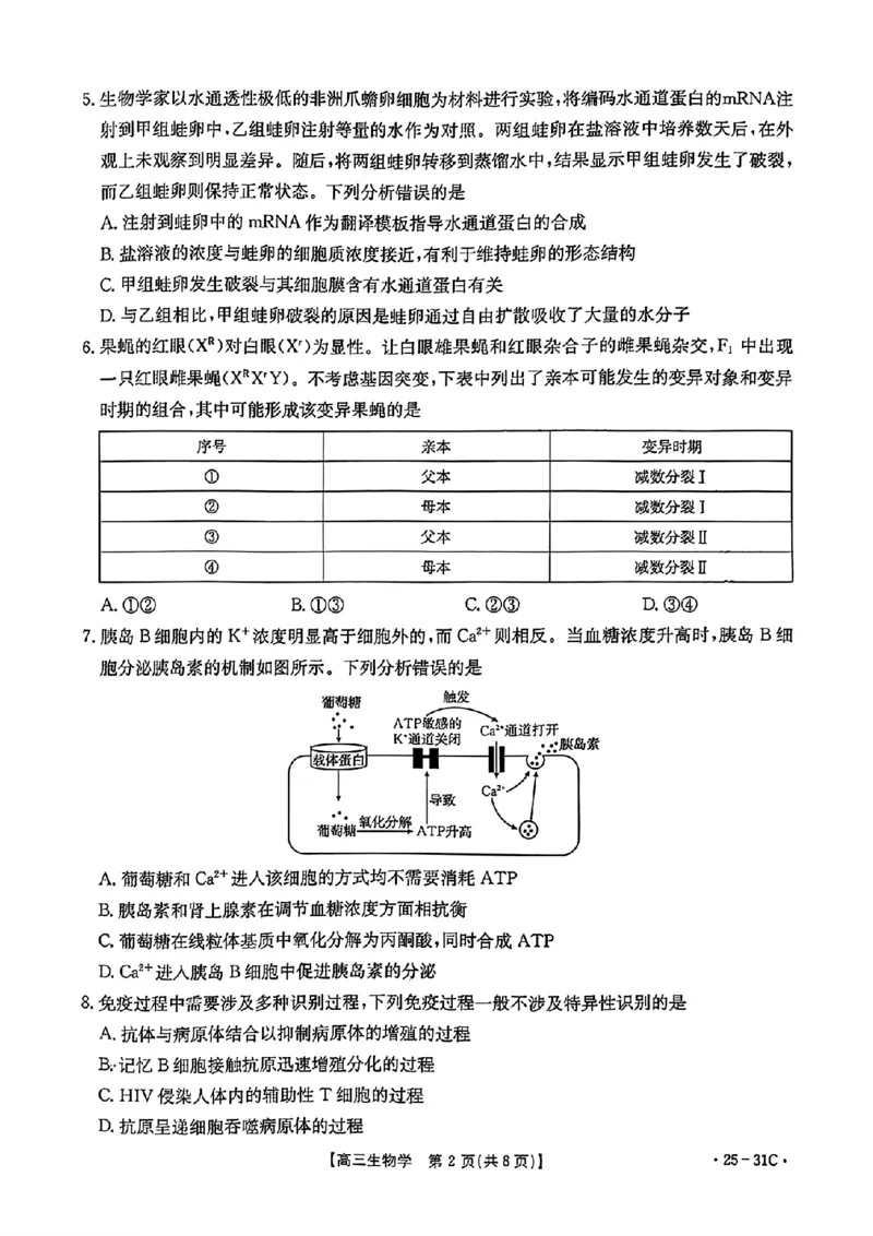 2025届广东省金太阳高三上学期9月联考（25-31C）-生物_2024-2025高三（6-6月题库）_2024年10月试卷_10032025届广东省金太阳高三上学期9月联考（25-31C）