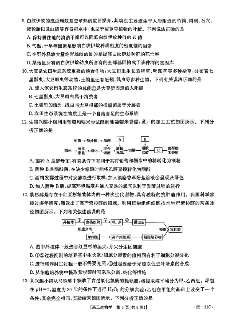 2025届广东省金太阳高三上学期9月联考（25-31C）-生物_2024-2025高三（6-6月题库）_2024年10月试卷_10032025届广东省金太阳高三上学期9月联考（25-31C）