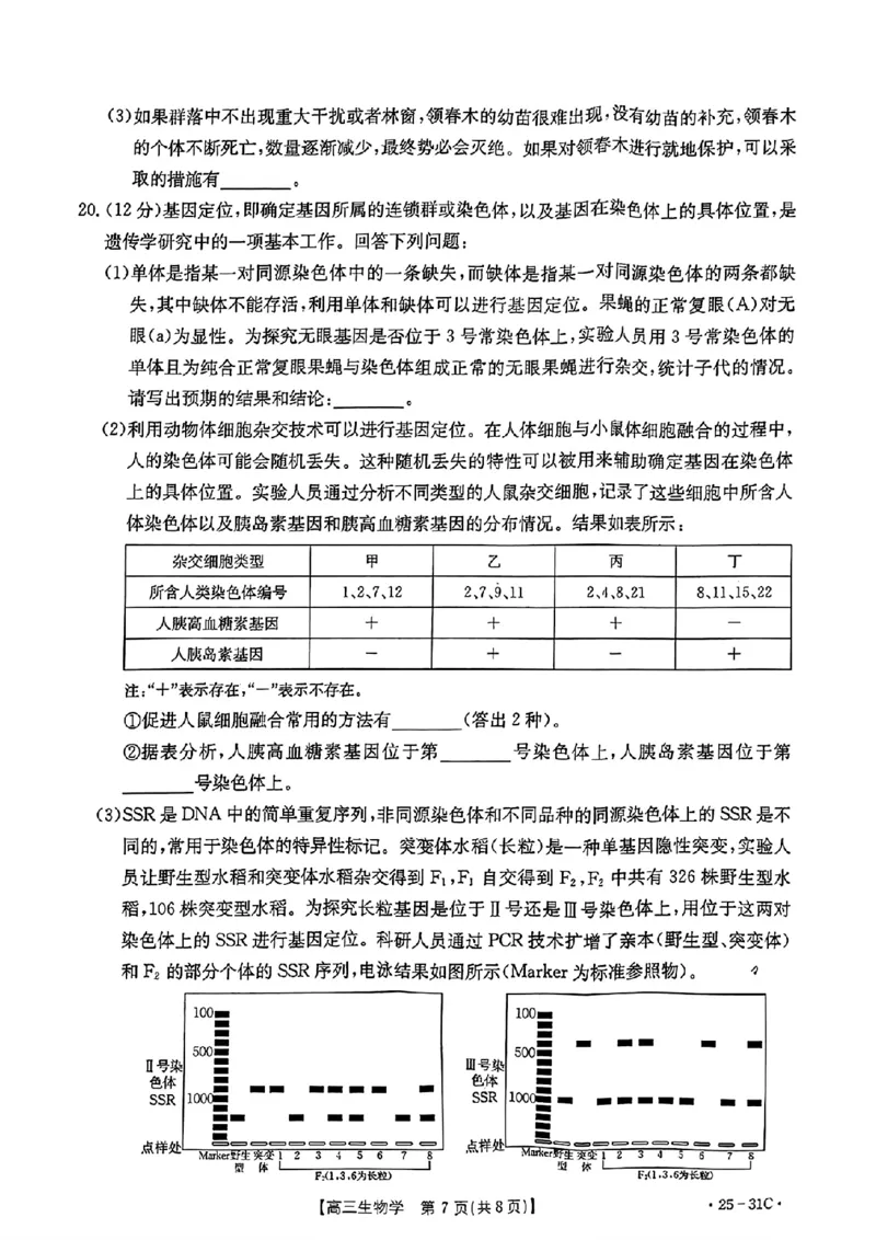 2025届广东省金太阳高三上学期9月联考（25-31C）-生物_2024-2025高三（6-6月题库）_2024年10月试卷_10032025届广东省金太阳高三上学期9月联考（25-31C）