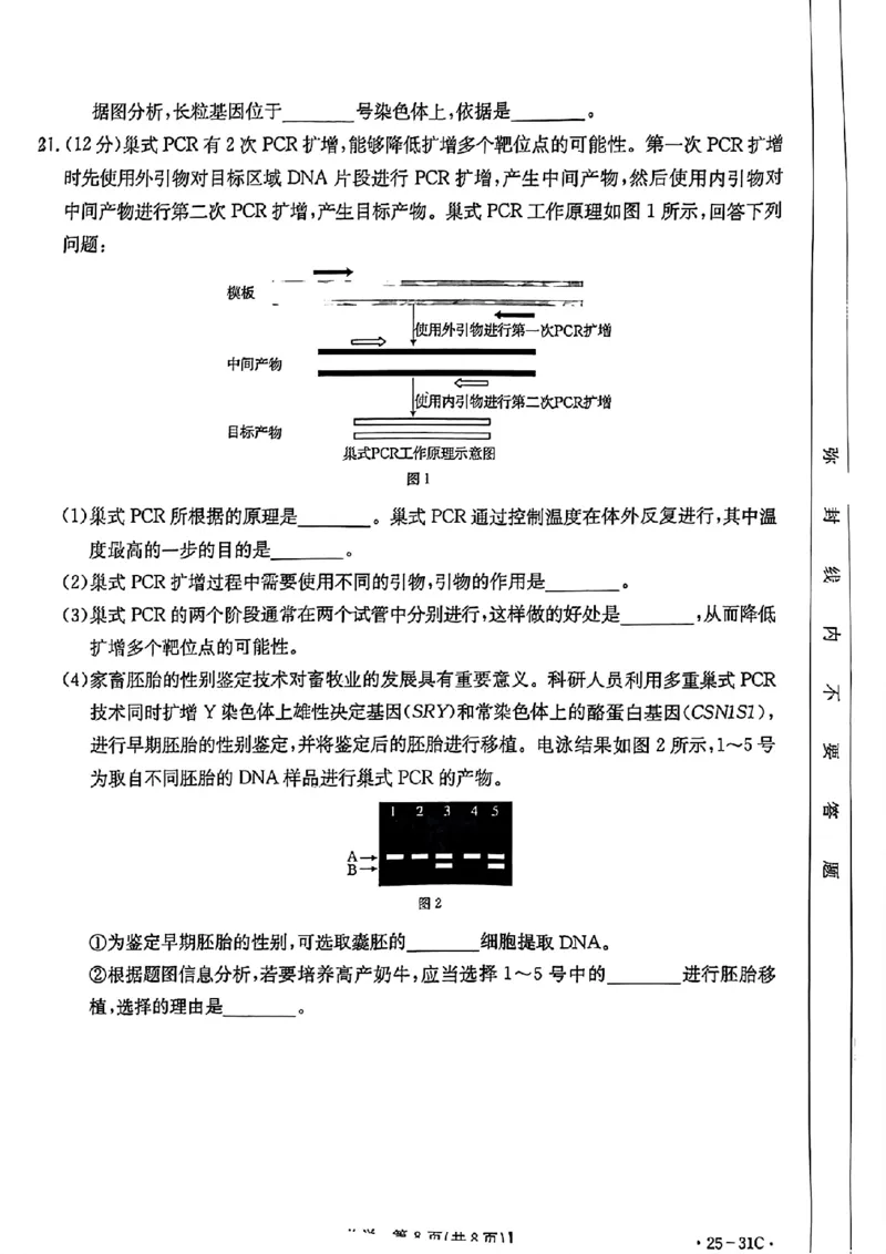 2025届广东省金太阳高三上学期9月联考（25-31C）-生物_2024-2025高三（6-6月题库）_2024年10月试卷_10032025届广东省金太阳高三上学期9月联考（25-31C）